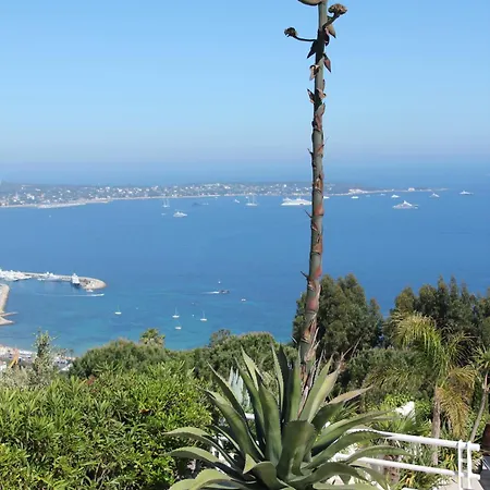 Bas De Vue Panoramique * Vallauris