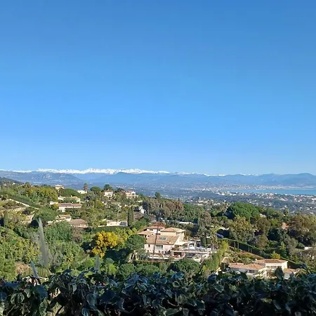 Bas De Vue Panoramique *